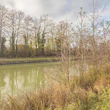 Coeur D'amazonie - Neuf Et Renove Châlons-en-Champagne